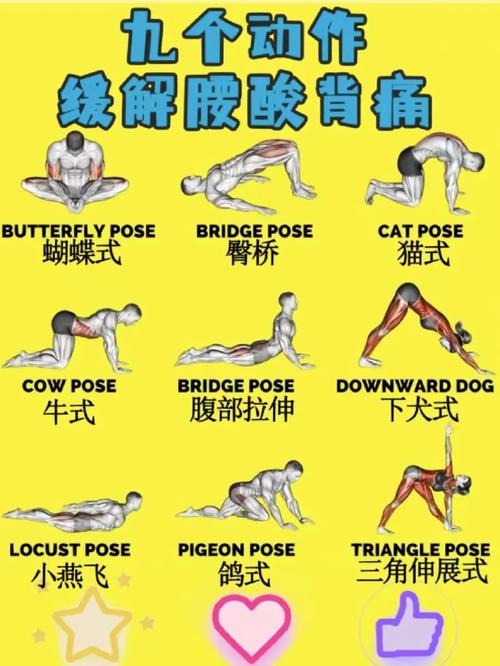 季医生教你趴着练腰背,每天 5 分钟,有效缓解腰酸背痛