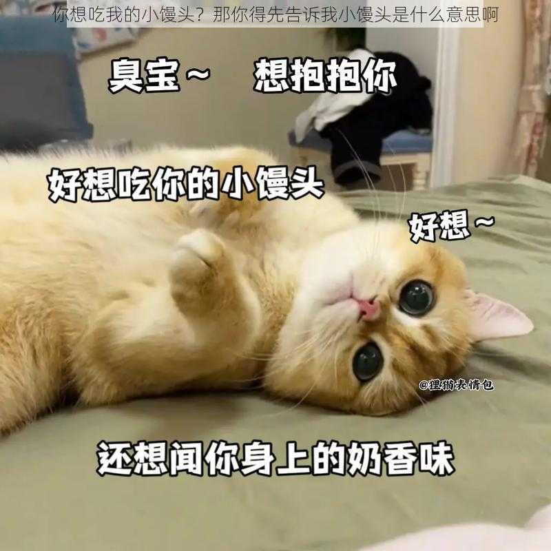 你想吃我的小馒头?那你得先告诉我小馒头是什么意思啊