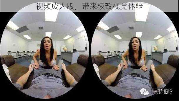 视频成人版,带来极致视觉体验