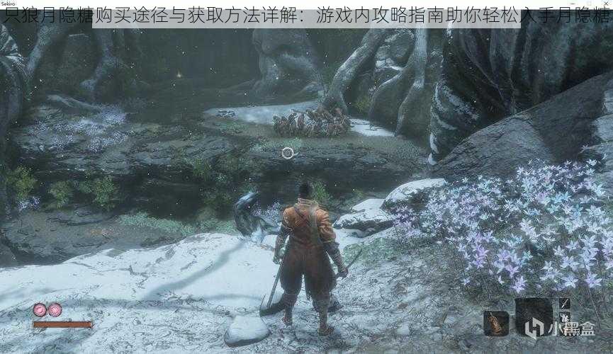 只狼月隐糖购买途径与获取方法详解:游戏内攻略指南助你轻松入手月隐糖